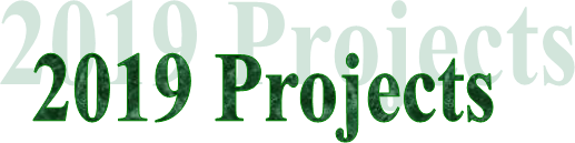  2019 Projects
